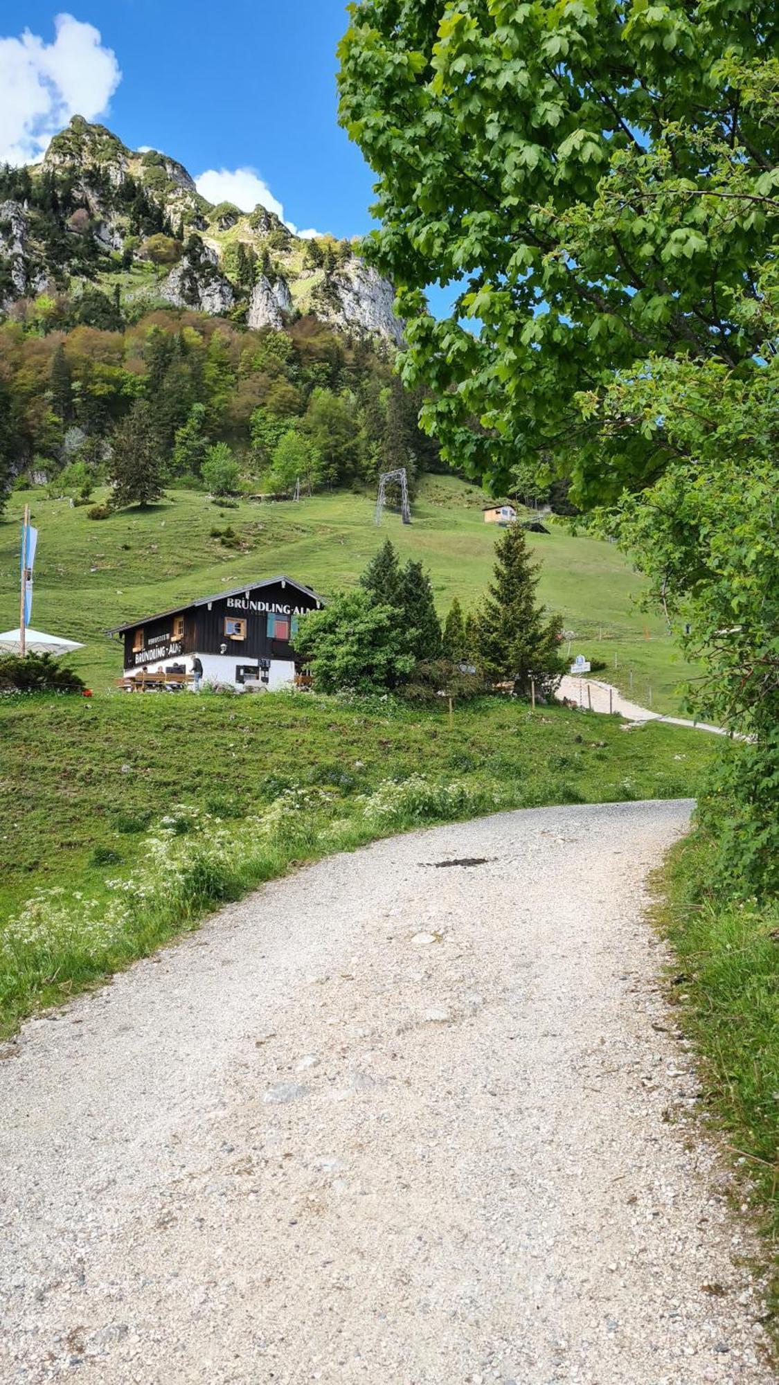 Bruendling-Alm Berggasthof Auf 1167M Auf Dem Hochfelln Bergen  Exterior foto